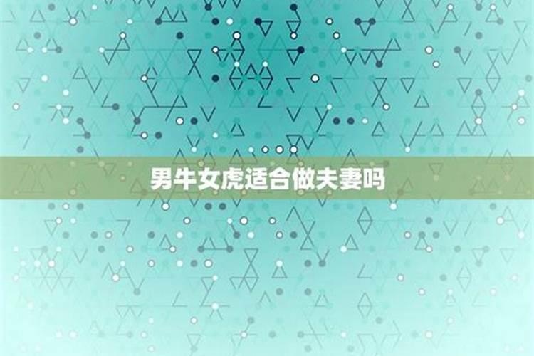 97牛男和98虎女在一起好吗