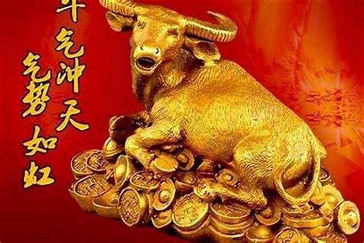 为什么牛年不能结婚