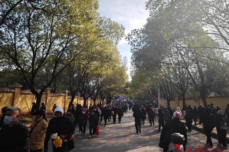 生肖马2025年犯太岁吗