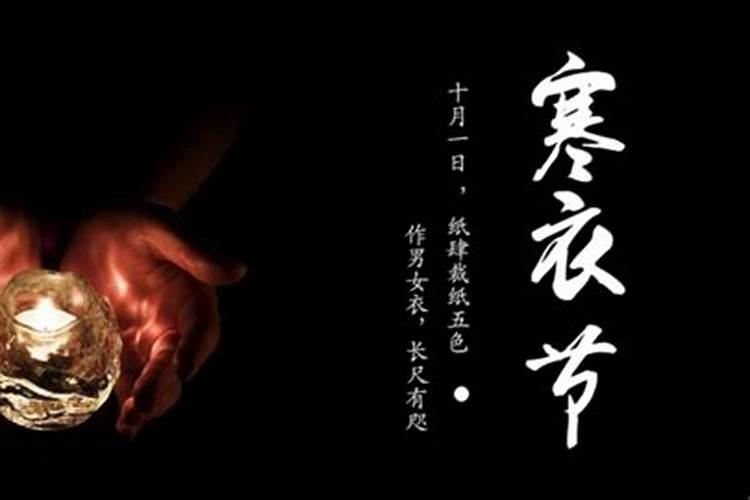 生肖鼠2025年运势 属鼠2025年运势及运程