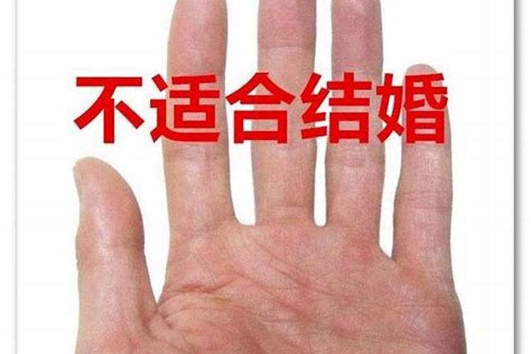 属狗农历十月份是什么命 属狗的人最佳配对组合