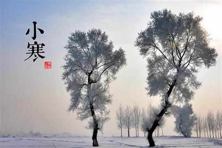 农历3月15是什么日子？
