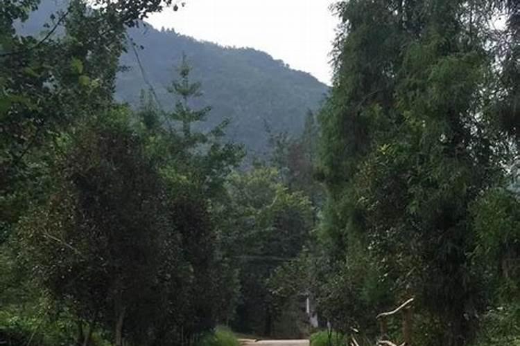 梦见骑马走错路的预兆