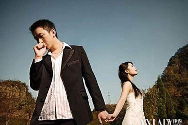 怎么照顾刚出生的小猫 照顾刚出生的小猫方法