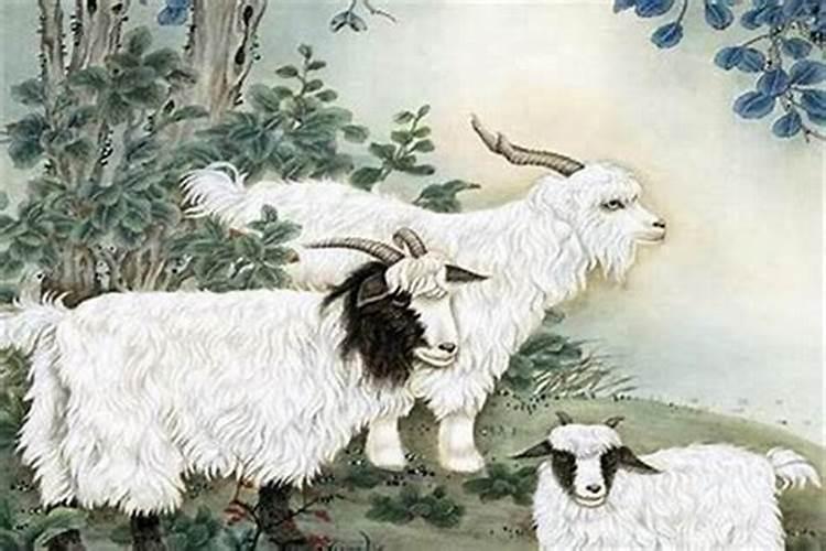 67年属羊男2025年运势及运程