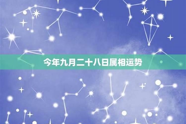 1971年的猪女未来五年的运程 71年属猪人命理？