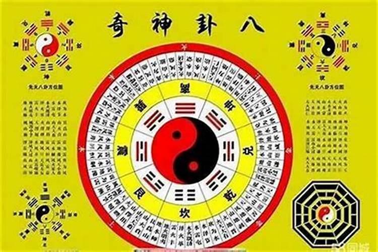 2025年猪1995年运势及运程