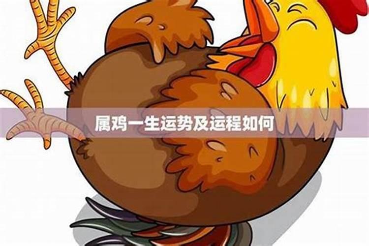 属鸡今年运势2025年每月运势