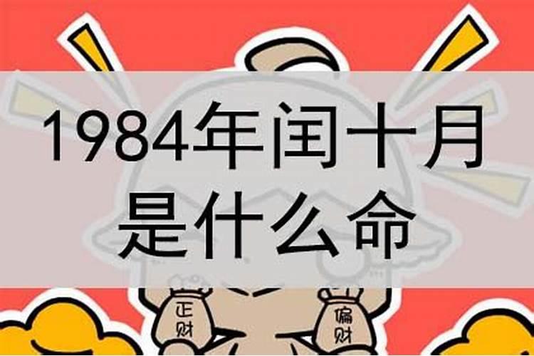 请帮帮忙,1984年闰十月初一 (女) 的辰时出生的人,命运和婚姻如何？