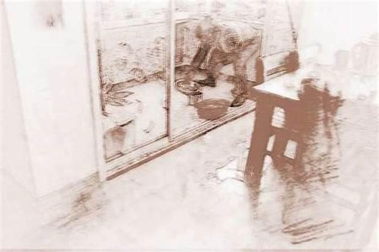 梦见厨房溢水