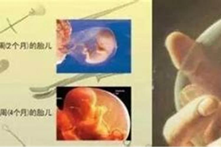 ...现实中不一样的陌生的地方,然后自己骑自行车回家了？