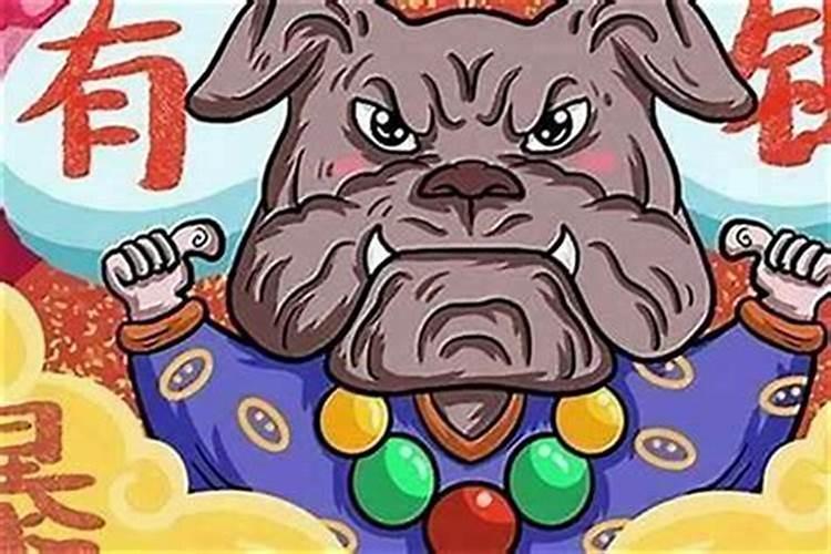 1982年正月生的属狗人一生的运程资料