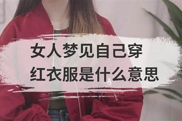 鼠年犯太岁的四个属相