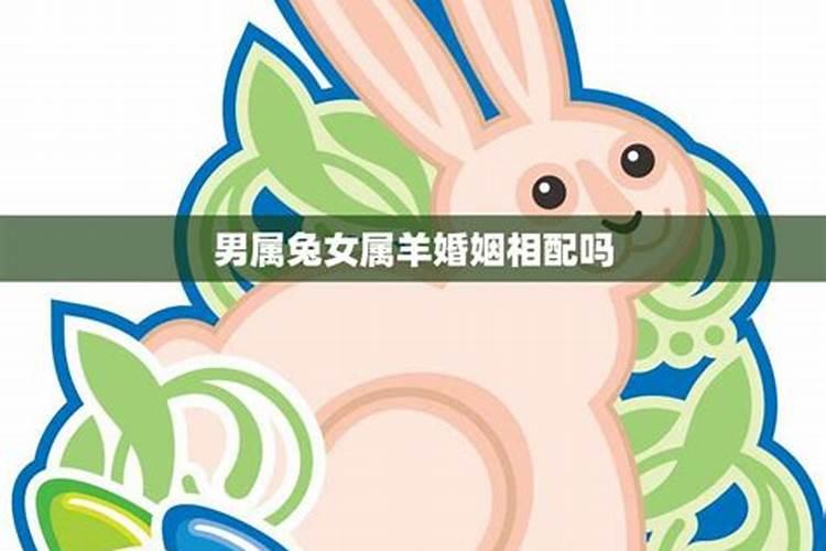 男属于兔女属于羊婚姻合适吗