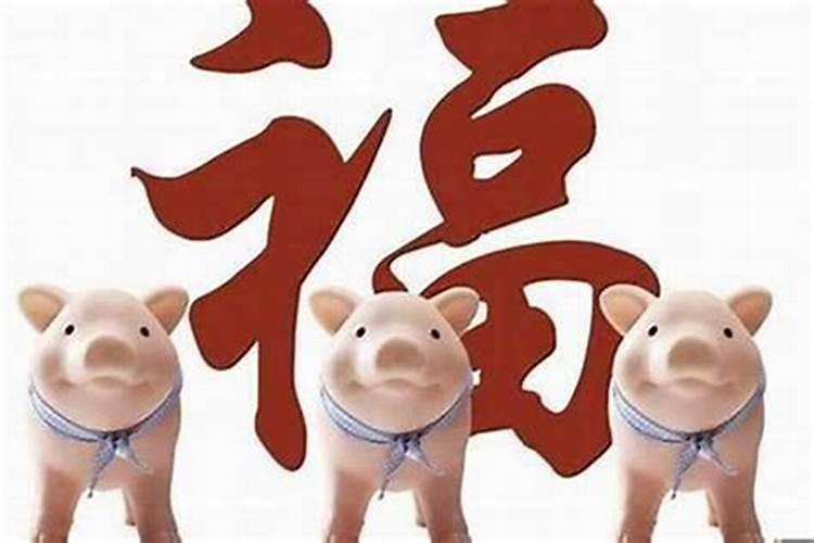 71年属猪未来三年运势2024年到2026年