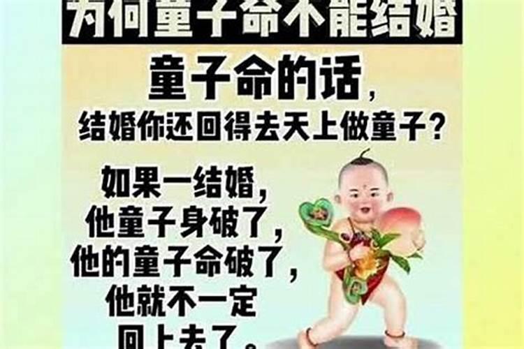 2025年鼠年运势及运程1984