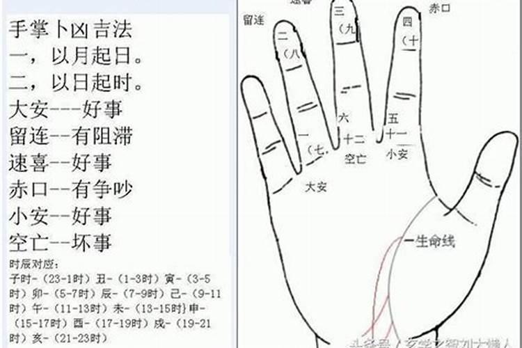 8月初5是什么星座啊