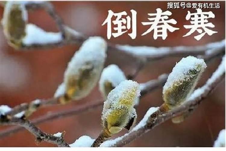 剖腹产出生的孩子生辰八字准吗
