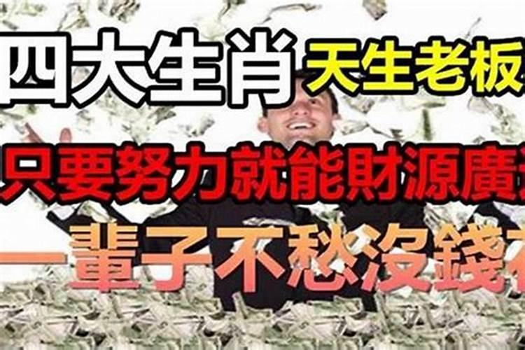 为什么属兔的富豪最多