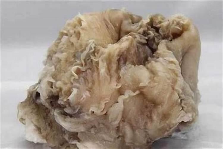 太岁是什么东西 数万年才能形成的延寿珍品肉灵芝(2)