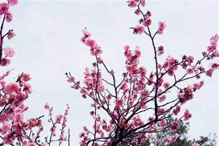 冬至鬼节啥意思