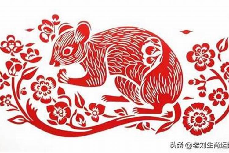 农历十一月出生的鼠是什么命,属鼠11月出生是什么命