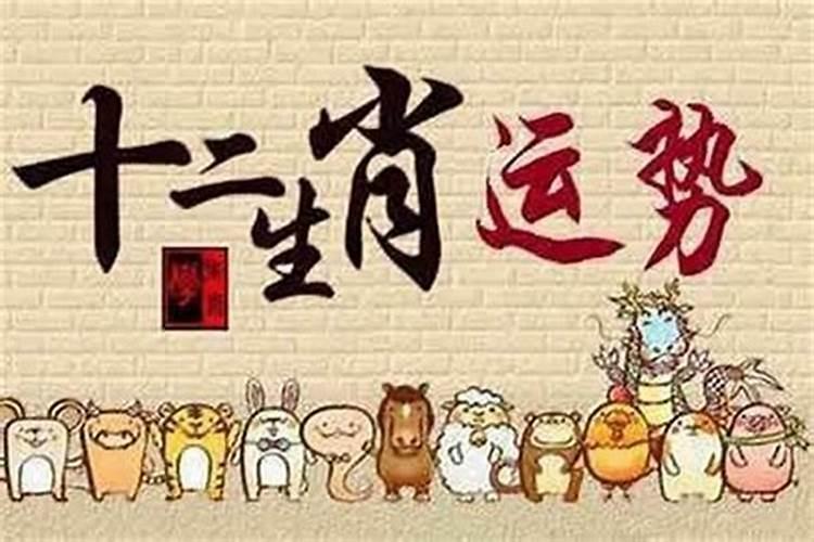 2024年事业运最好的五大生肖 羊马牛猴狗