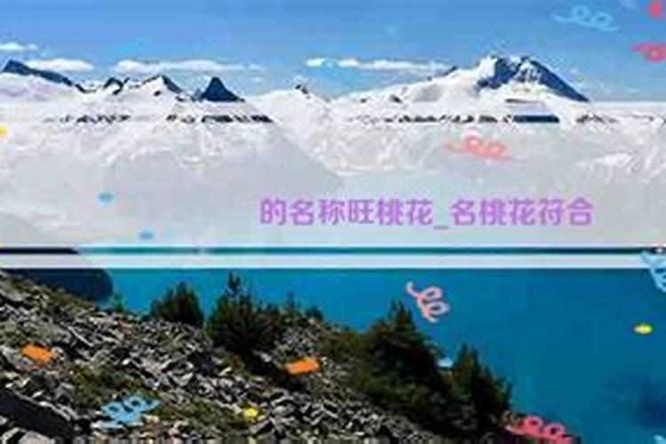 开财库和补财库的区别