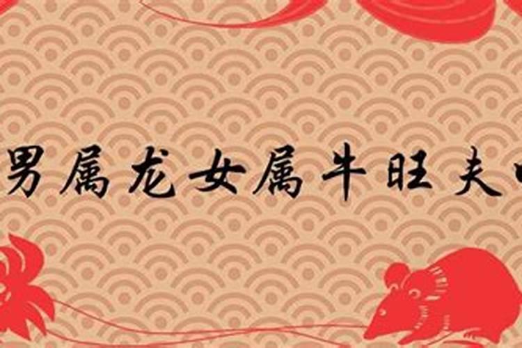 1997年属牛男和2000年属龙女婚姻怎样？