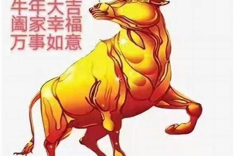 牛男龙女