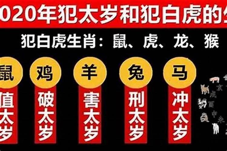 63年属兔2025年运势