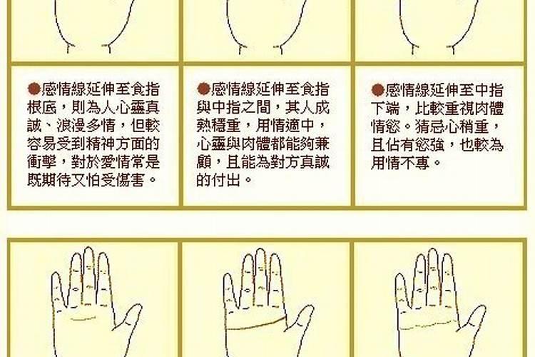 羊年和鼠年的人生辰八字合不合