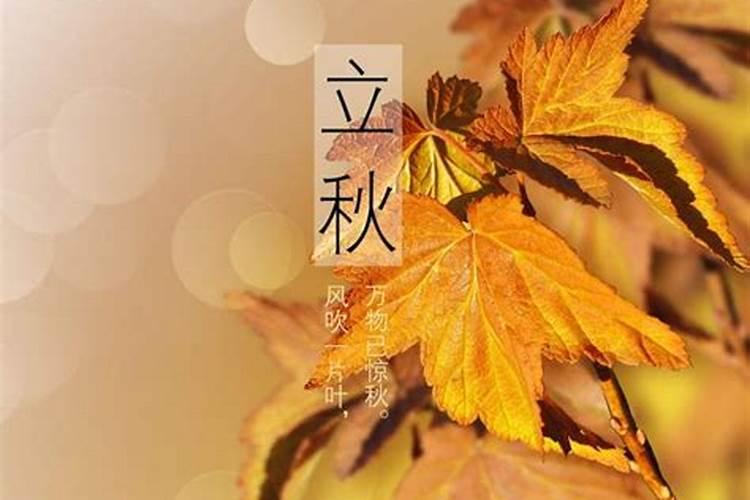 梦见自己的丈夫什么意思？