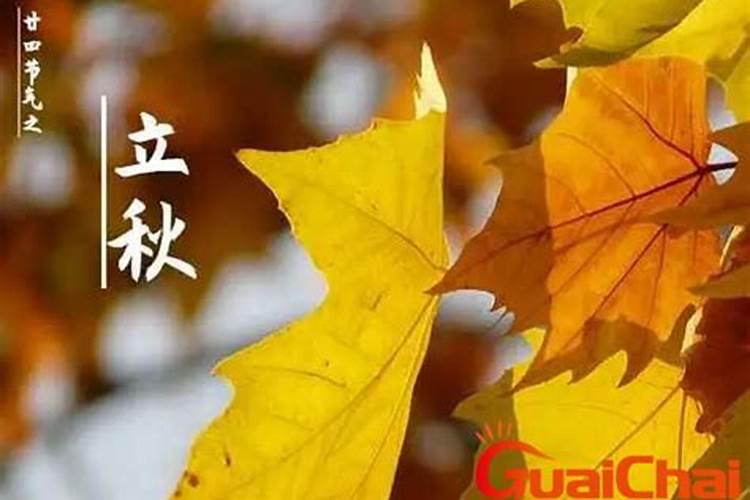 梦见老公有什么预兆？是什么意思？