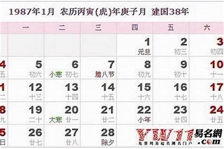 1987年属兔2025年的运势及运程如何