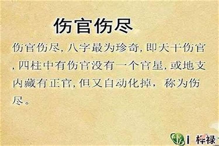 盲派八字看富贵层次,现在最厉害的盲派八字