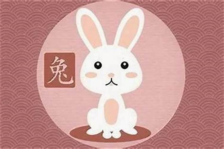 女生生肖兔和什么生肖最配,生肖马和什么生肖最配