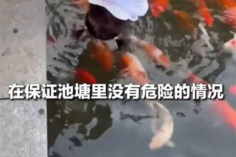 七月十五生日女好不好七月十五生女孩命很好？