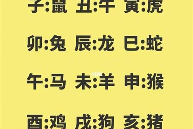 年时相冲子必走 八字合婚时辰相冲怎么办？