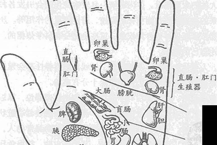 健康线手相怎么看