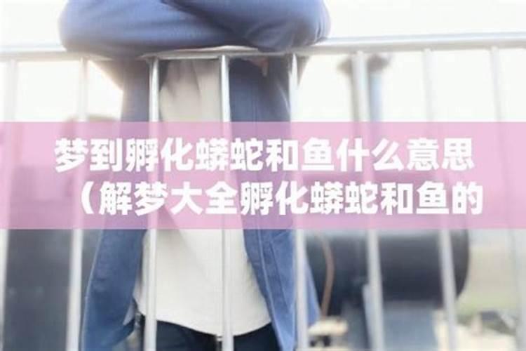 女方出轨能挽回老公吗