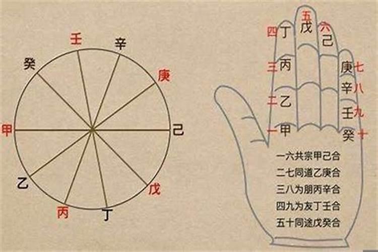什么是八字算命中的“坐”？