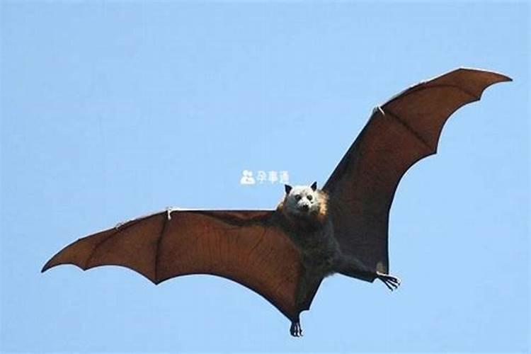 2024年秋分是几点几分 秋分农谚