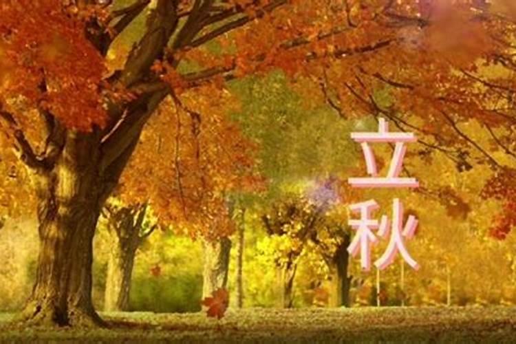 什么是八字平和 八字平和是什么意思