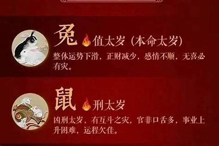 远洋傲北的项目配套