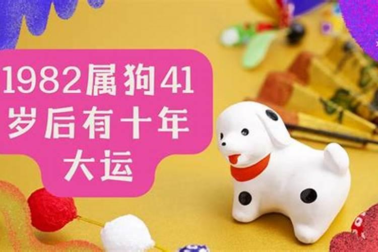 82狗2025年运势及运程