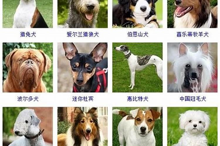 中秋除了吃月饼还要吃什么 中秋各地什么风俗