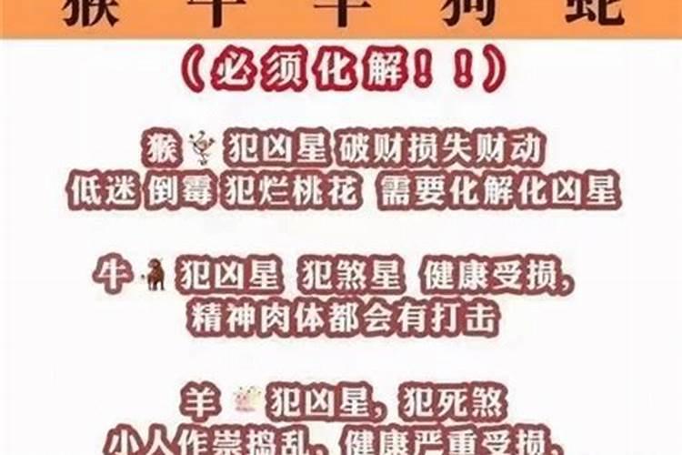 今年属牛的人犯太岁,在家压太岁怎样做
