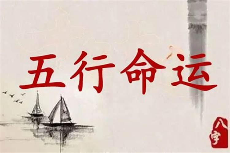 属鼠一到十二月运势