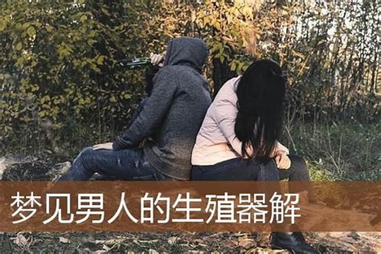 梦见梦看到男人的器官很大的预兆